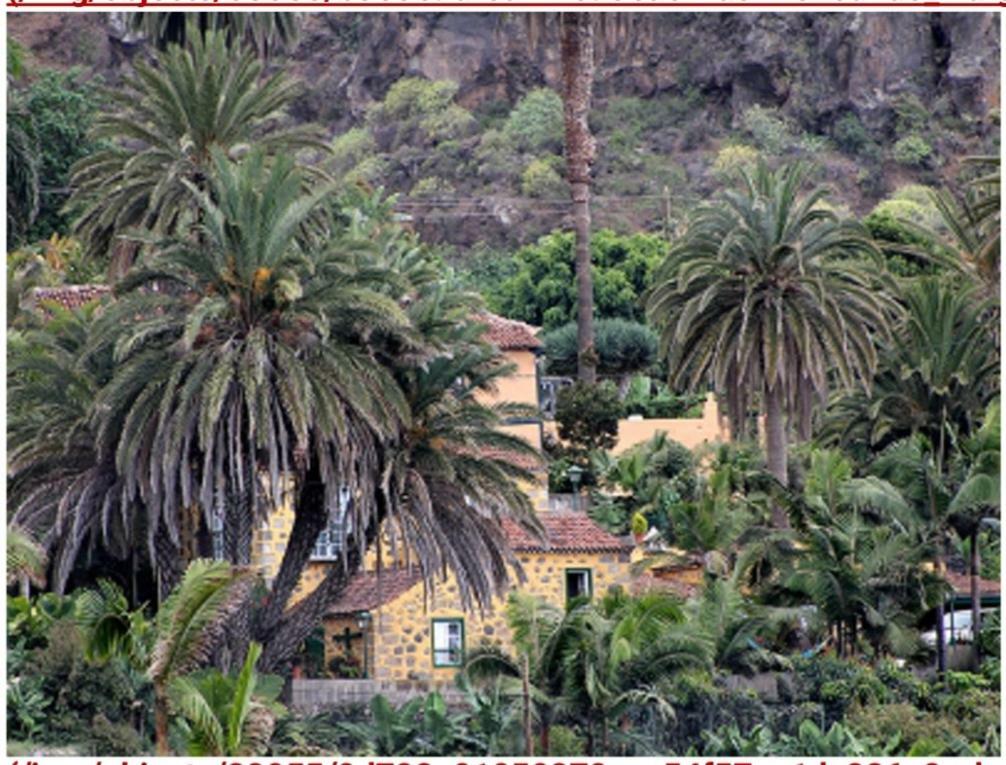 Finca Dona Juana Los Realejos Extérieur photo